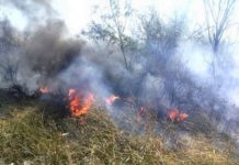 Bomberos sofocan fuego en pastizal