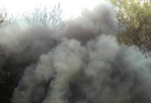 Bomberos sofocan incendio en predio baldio