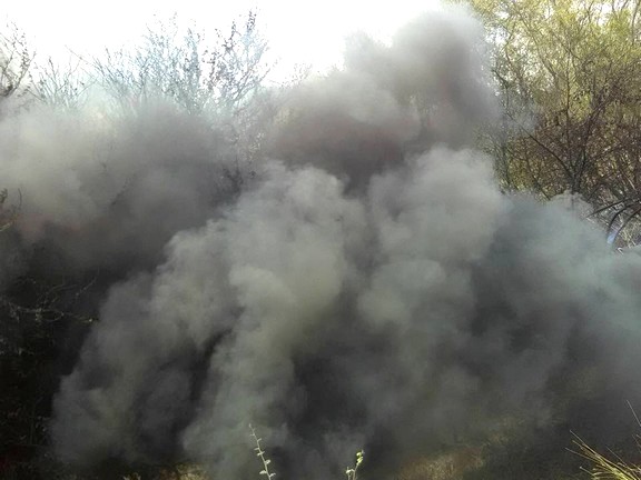 Bomberos sofocan incendio en predio baldio