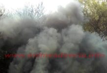 Bomberos sofocan incendio en tarimera