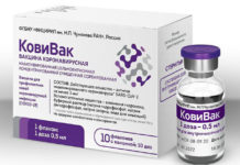 Rusia pone en circulación su tercera vacuna contra el coronavirus, CoviVac