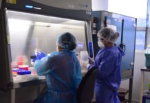 Reporta SST 22 casos de COVID-19