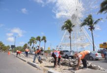 Mejorarán la Imagen del Bulevar Perimetral con Áreas Verdes y Ornamentación