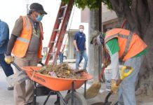 Fortalece Gobierno de Tampico Programas de Limpieza en Zonas Prioritarias