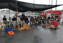 Capacitan a Bomberos en Curso Taller “Extracción Vehicular”