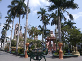 Esperan que semáforo epidemiológico permita a final de mes la apertura de sitios de esparcimiento