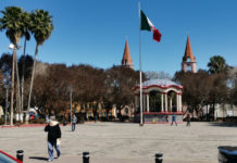 En dos meses tendrán evaluación de daños en áreas verdes por heladas