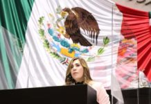 Aprueban iniciativa de Nohemí Alemán; Violencia Familiar se perseguirá de oficio