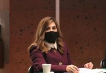 Diputados de Morena presentan licencia