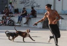 ¿Por qué y cómo fortalecer nuestro sistema inmunológico?