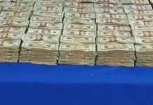 Grupo de Operaciones Especiales de Tamaulipas asegura más de 1 millón de dólares