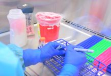 Recomienda Salud extremar prevención aun en semáforo epidemiológico verde