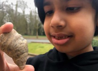 Un niño de 6 años busca gusanos en su jardín y encuentra un fósil que podría ser de hasta 488 millones de años de antigüedad