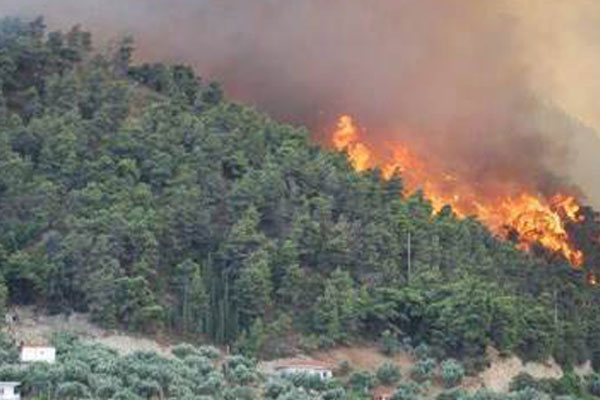 incendios 1