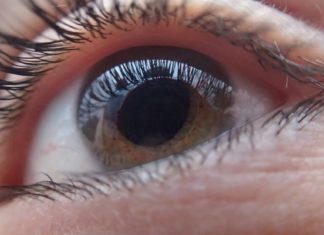 Desarrollan implantes de retina que prometen dar una visión artificial a los ciegos