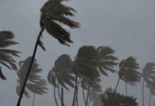 Cambia el clima y viene el norte