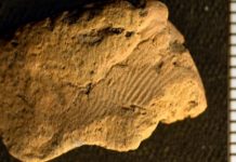 Descubren una huella dactilar impresa en un trozo de cerámica neolítica de 5.000 años