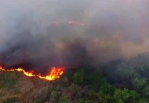 Bomberos sofocan incendio en predio con llantas