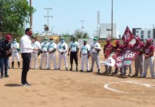 Promete Carlos Peña traer un equipo profesional de béisbol