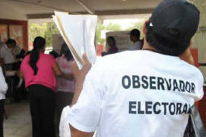 Observador electoral