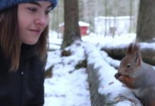 Fotógrafa hace amistad con ardillas rojas y consigue increíbles imágenes