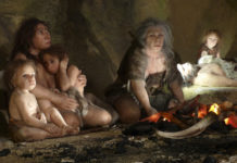 Descubren el “arma secreta” del ‘Homo sapiens’ para desplazar a los neandertales y evitar la extinción