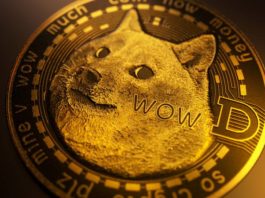 En el giro más loco, dogecoin repunta a un valor de mercado de casi 50 mil mdd