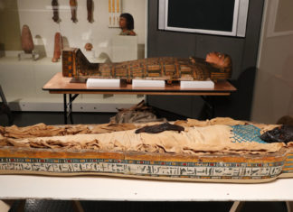 Nueva investigación revela la causa de la muerte de una momia de 2.600 años de antigüedad