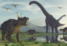 El jefe de una empresa fundada por Elon Musk dice que ya existe la tecnología para crear un parque jurásico real