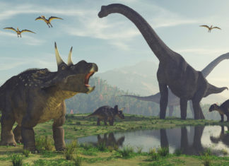 El jefe de una empresa fundada por Elon Musk dice que ya existe la tecnología para crear un parque jurásico real