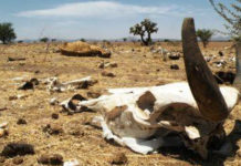 Crisis y sequía golpean duro a los campesinos