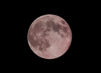 La Superluna rosa y otros fenómenos astronómicos que nos regalará abril