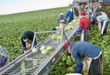 Pide director de Casas del Migrante justicia para los trabajadores migrantes