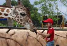 Impulsa Tamaulipas 7 programas de conservación animal