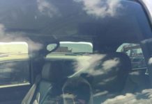 Dejan olvidado a perro en camioneta sin ventilación