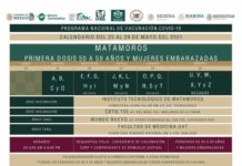 Vacuna Sinovac se aplicará a personas de 50 a 59 años