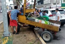 Choca caballo con camioneta que se pasó alto
