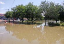 Desborde de laguito en Arboledas afecta al comercio