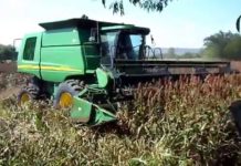 Se preparan campesinos de Reynosa para la trilla de sorgo