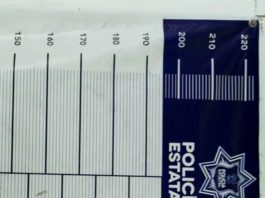 Policías arrestan a ebrio sujeto por alterar el orden