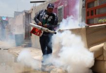 Tras lluvias exhorta Salud a eliminar cacharros y criaderos del mosquito transmisor del dengue