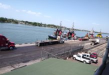 Exhaustiva vigilancia epidemiológica de embarcaciones que entran al puerto de Tampico y Altamira por viruela del mono