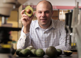 Descubren las propiedades anticancerígenas del aguacate