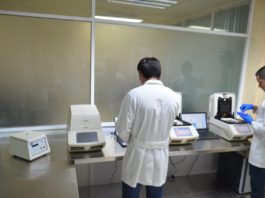 Llaman a no exponer a los más vulnerables a un contagio de COVID-19: “eviten salidas innecesarias”