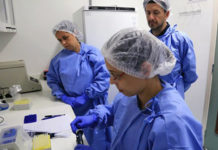 COVID-19; ya van 55,297 positivos en Tamaulipas
