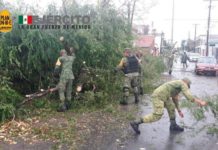 Trabajan Ejército Mexicano y Municipio en auxilio de damnificados