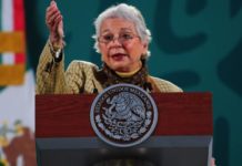 Reconoce Sánchez Cordero “lagunas” en caso de desafuero