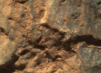 FOTOS: La NASA publica imágenes de varias rocas curiosas de Marte captadas por el róver Perseverance