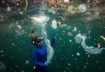 Cuatro productos de plástico constituyen casi la mitad de la basura del océano