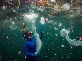 Cuatro productos de plástico constituyen casi la mitad de la basura del océano